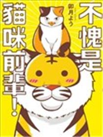 流石猫前辈海报