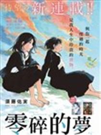 零碎的梦海报