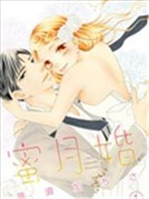 蜜月婚海报