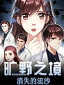 旷野之境·消失的流沙海报