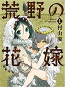 荒野的新娘海报