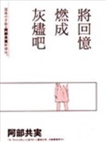 将回忆燃成灰烬吧海报