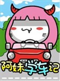 油爆叽丁之阿妹学车记海报