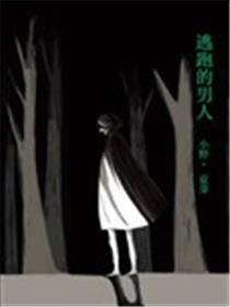 逃跑之男海报