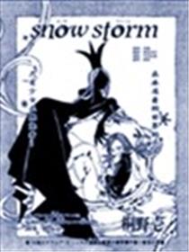snow storm 雪之女王海报