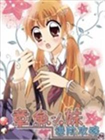 章鱼小妹进阶攻略海报
