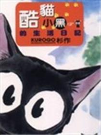 酷猫小黑的生活日记海报