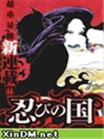忍者之国海报