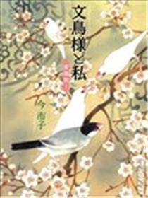 文鸟与我海报
