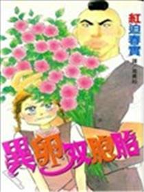 异卵双胞胎海报