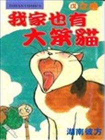 我家也有大笨猫海报