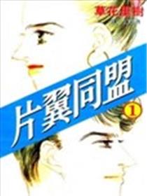 片翼同盟海报