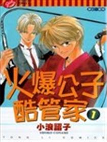 火爆公子酷管家海报