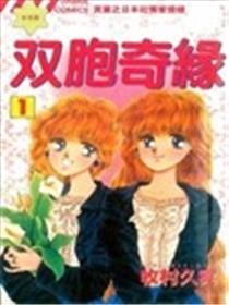 双胞奇缘海报
