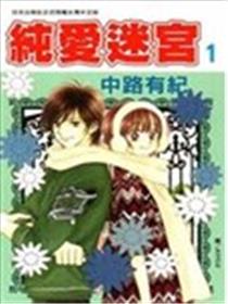 纯爱迷宫海报