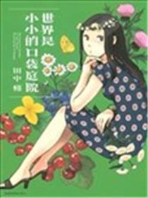 世界是小小的口袋庭园海报
