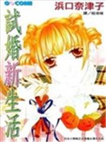 试婚新生活海报