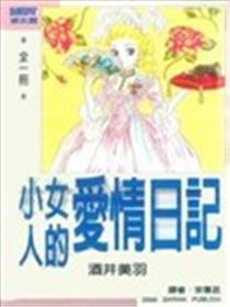 小女人的爱情日记海报