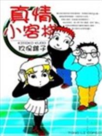 真情小客栈海报