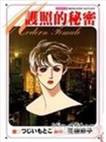 护照的秘密海报