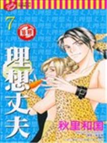 理想丈夫海报