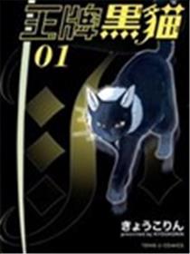 王牌黑猫海报