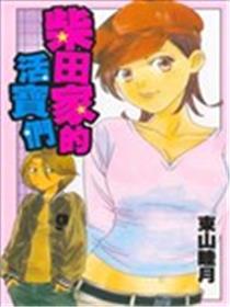 柴田家的活宝们海报