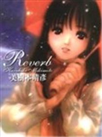 Reverb响海报