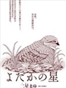 夜鹰之星海报