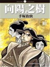 向阳之树海报