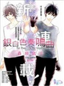银白色奏鸣曲海报