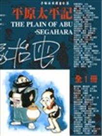 平原太平记海报