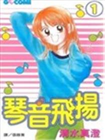 琴音飞扬海报