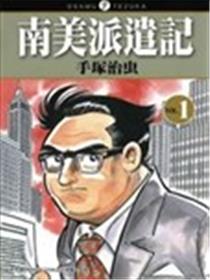 南美派遣记海报