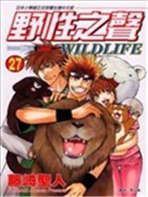 野性之声海报