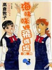 海咪咪VS飞机场海报