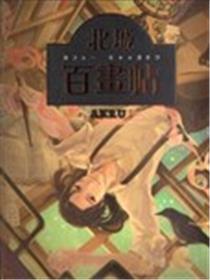 北城百画帖海报