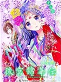 后宫锦华传海报
