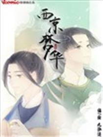 西京梦华海报