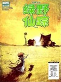 绿野仙踪海报