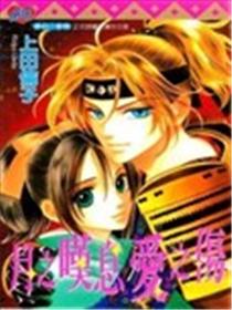 月之叹息爱之伤海报