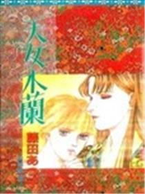 天女木兰海报
