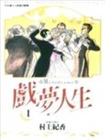 戏梦人生海报