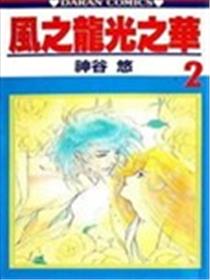 风之龙光之华海报