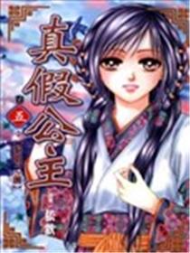真假公主海报