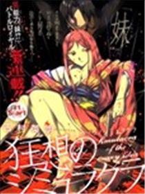 狂想的幻影海报