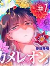 深灰的变色龙海报