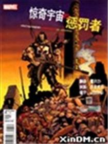 惊奇宇宙VS惩罚者海报