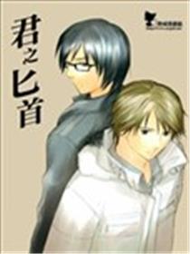 君之匕首海报