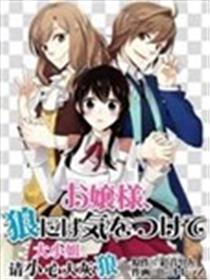 大小姐，请小心大灰狼海报